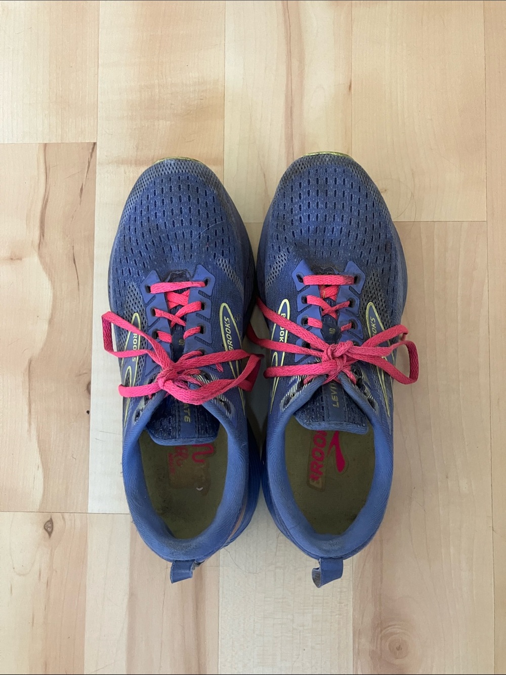 Well-Loved Brooks Levitate Running Shoes